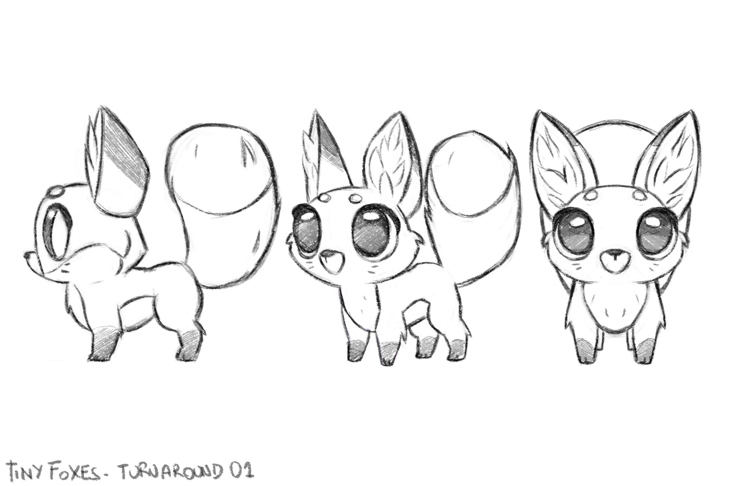 Tiny Fox Turnaround